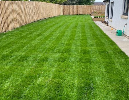 bdde6753-9ff6-436e-969c-b49d8bc0f469